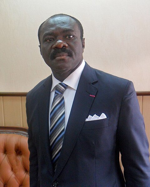 Retrato de Narcisse Mouelle Kombi