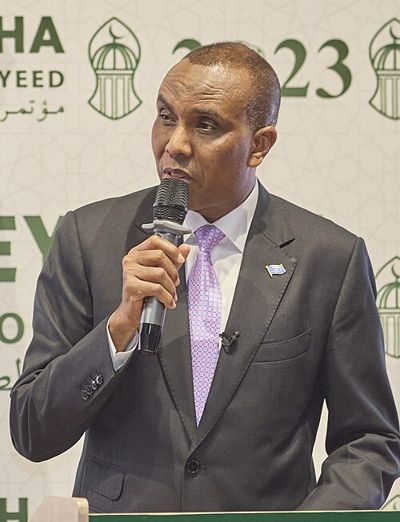 Portrait de Hamza Abdi Barre