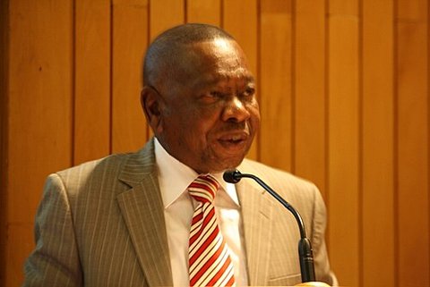 Retrato de Blade Nzimande