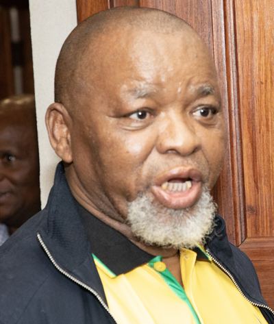 Portrait de Gwede Mantashe